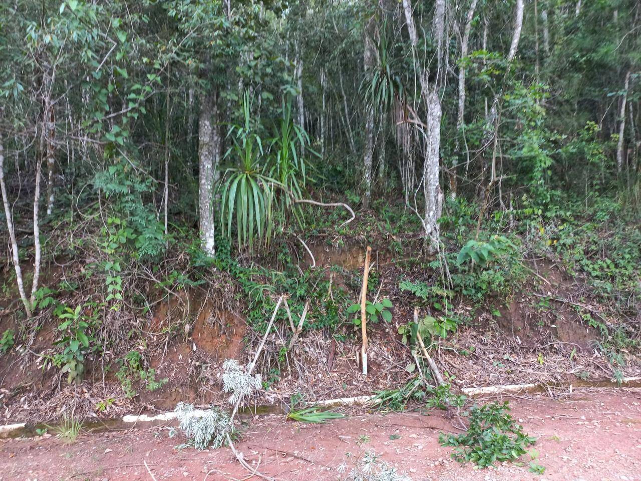 #240 - Terreno em condomínio para Venda em Atibaia - SP