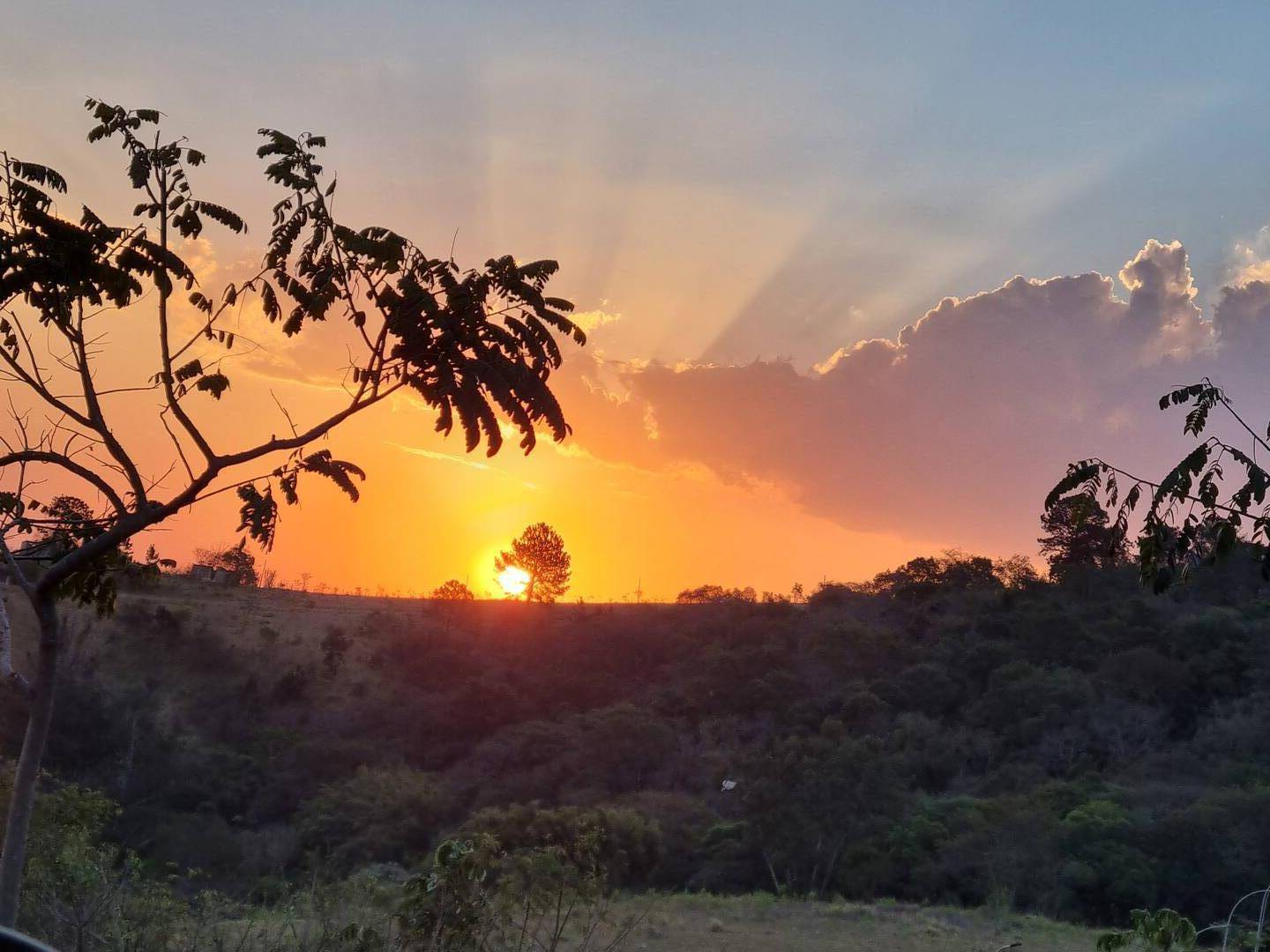 #106 - Terreno em condomínio para Venda em Atibaia - SP