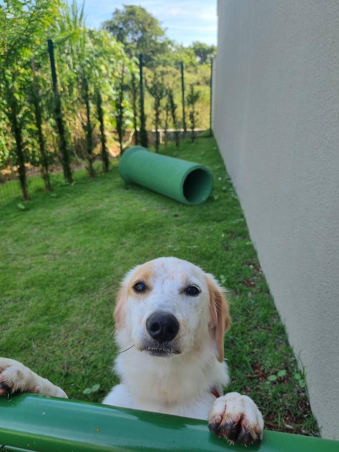 #195 - Casa para Locação em Bom Jesus dos Perdões - SP
