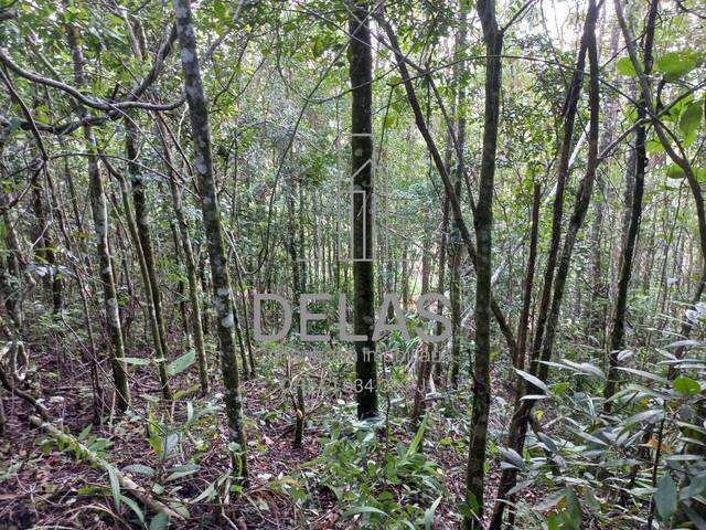 #240 - Terreno em condomínio para Venda em Atibaia - SP - 2